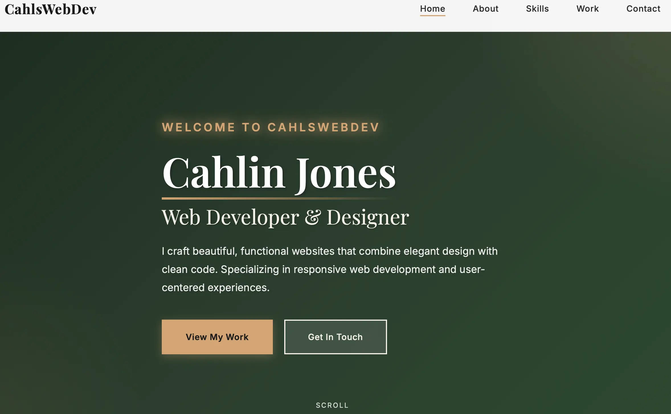 Portfolio Site Project